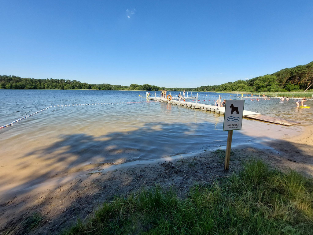 Kąpielisko dla psów na Wikaryjce