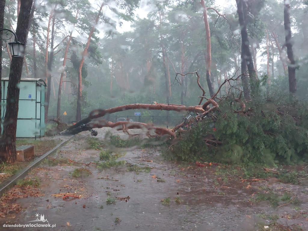 Ponad 200 zgłoszeń do straży pożarnej. 