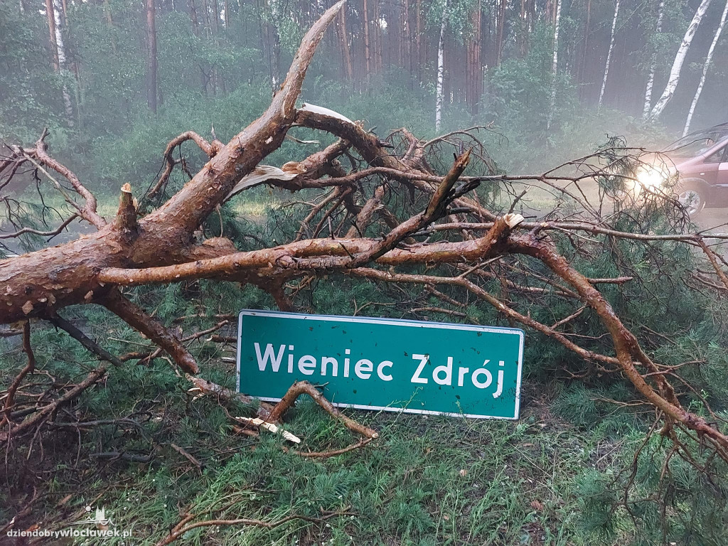 Ponad 200 zgłoszeń do straży pożarnej. 