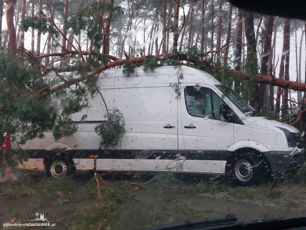 Ponad 200 zgłoszeń do straży pożarnej. 