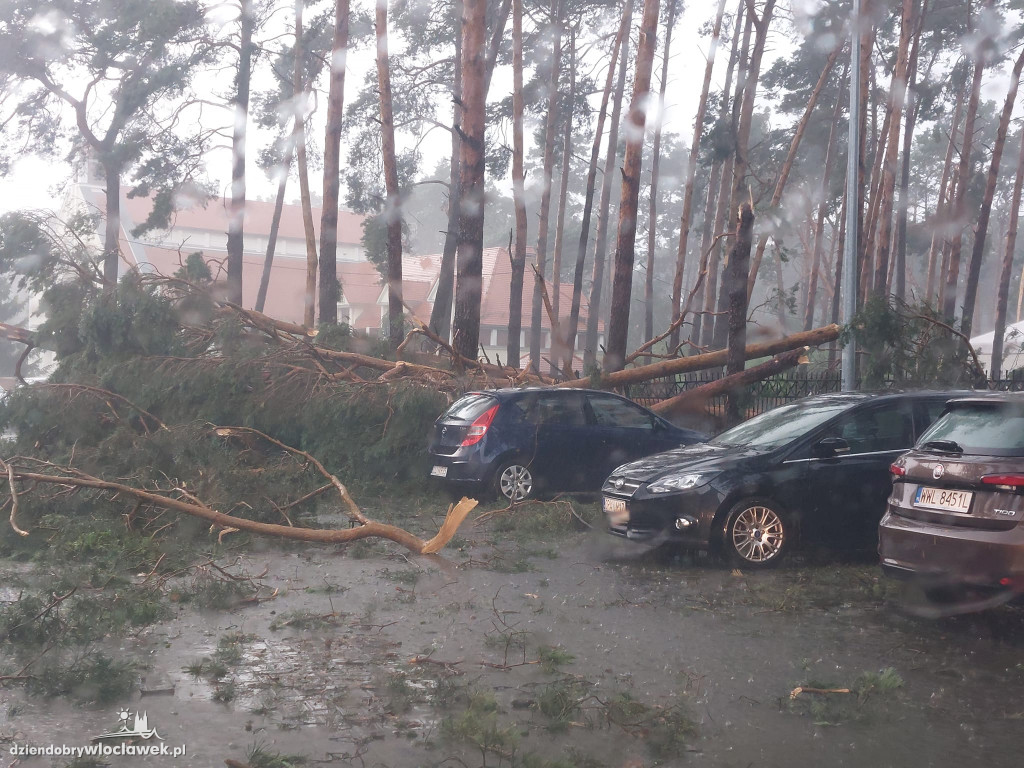 Ponad 200 zgłoszeń do straży pożarnej. 