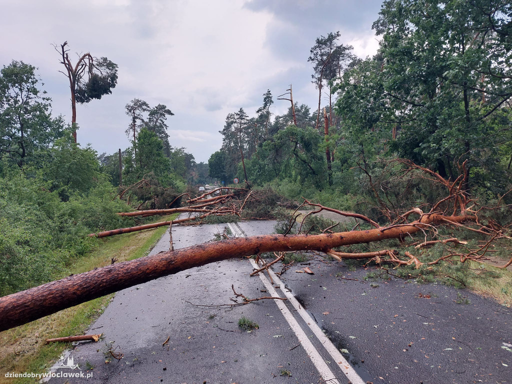 Ponad 200 zgłoszeń do straży pożarnej. 