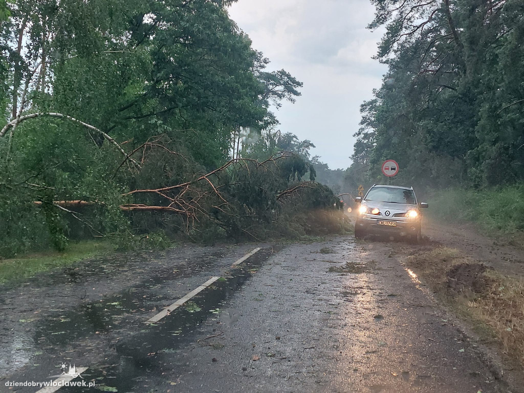 Ponad 200 zgłoszeń do straży pożarnej. 