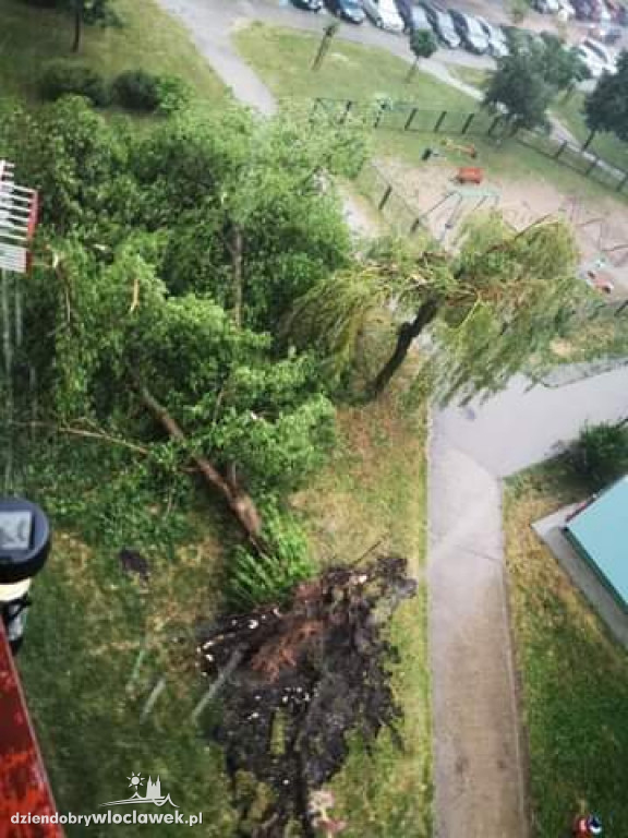 Ponad 200 zgłoszeń do straży pożarnej. 