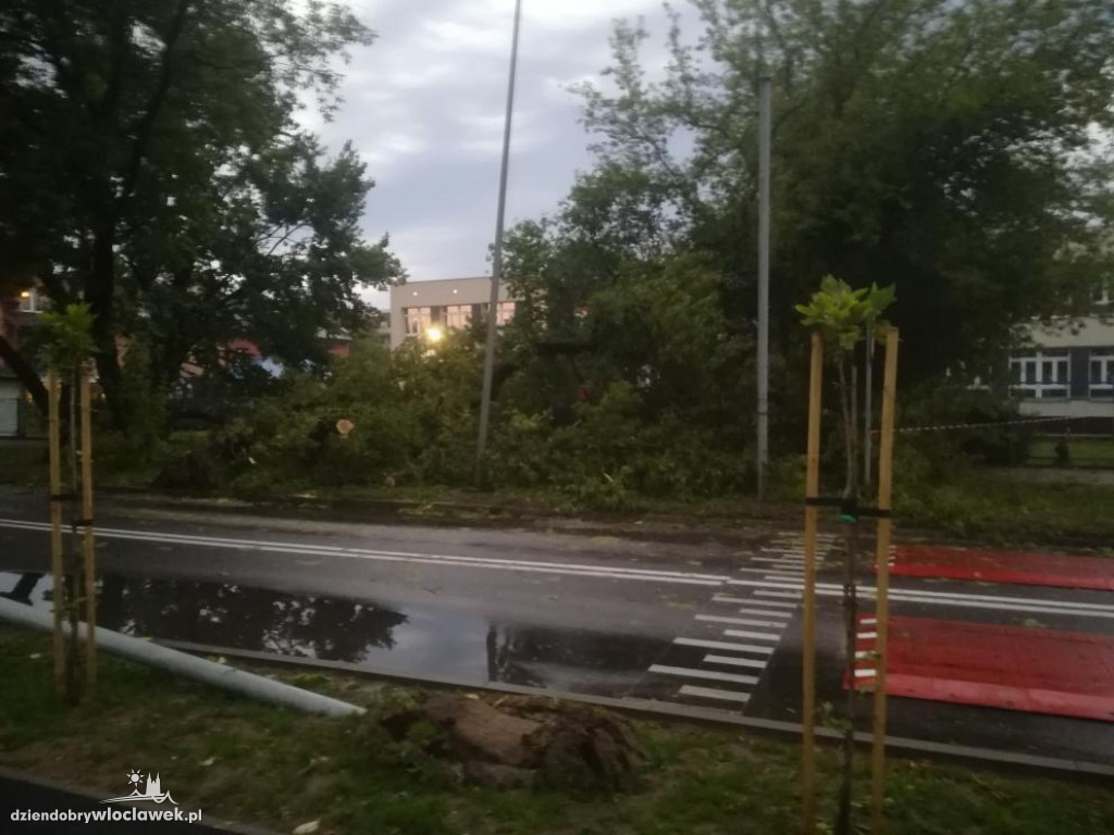 Ponad 200 zgłoszeń do straży pożarnej. 