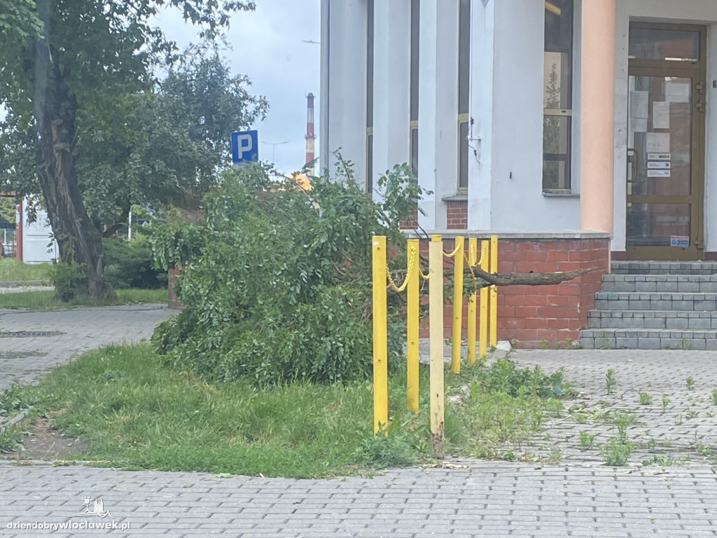 Krajobraz po nawałnicy. Miasto liczy straty