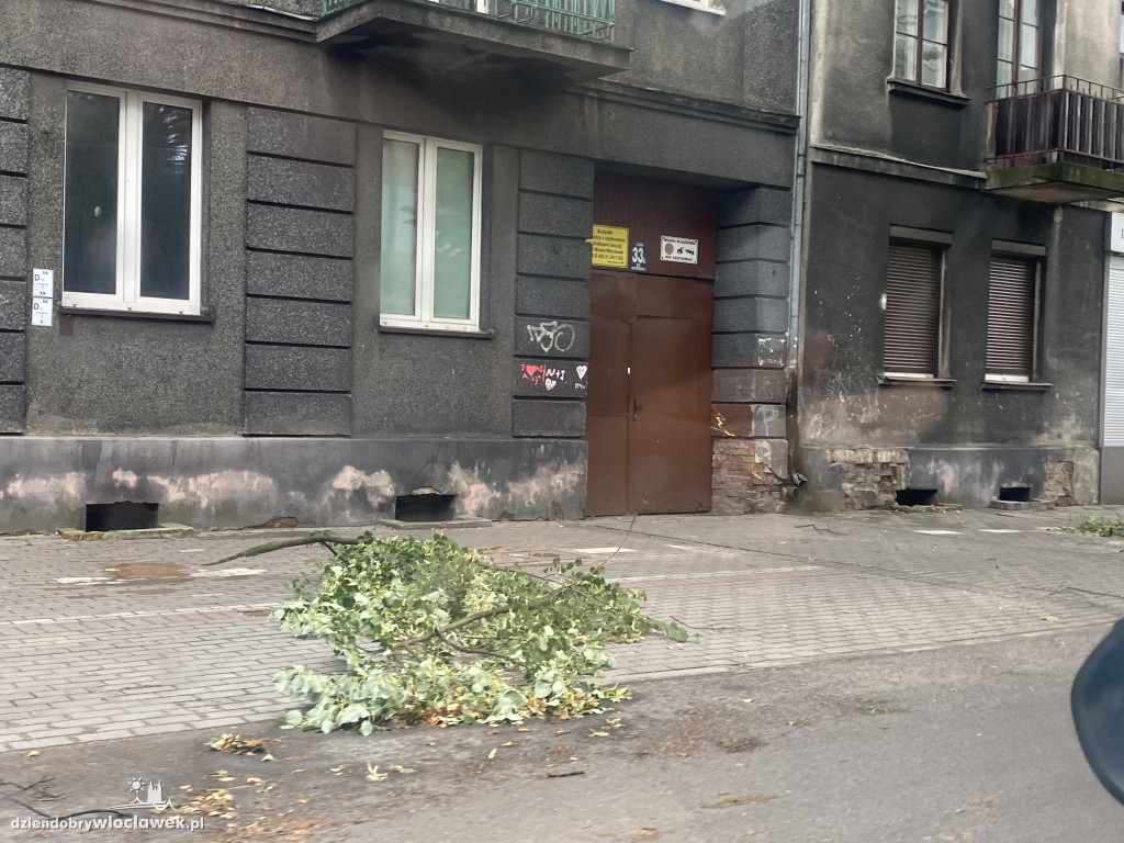 Krajobraz po nawałnicy. Miasto liczy straty