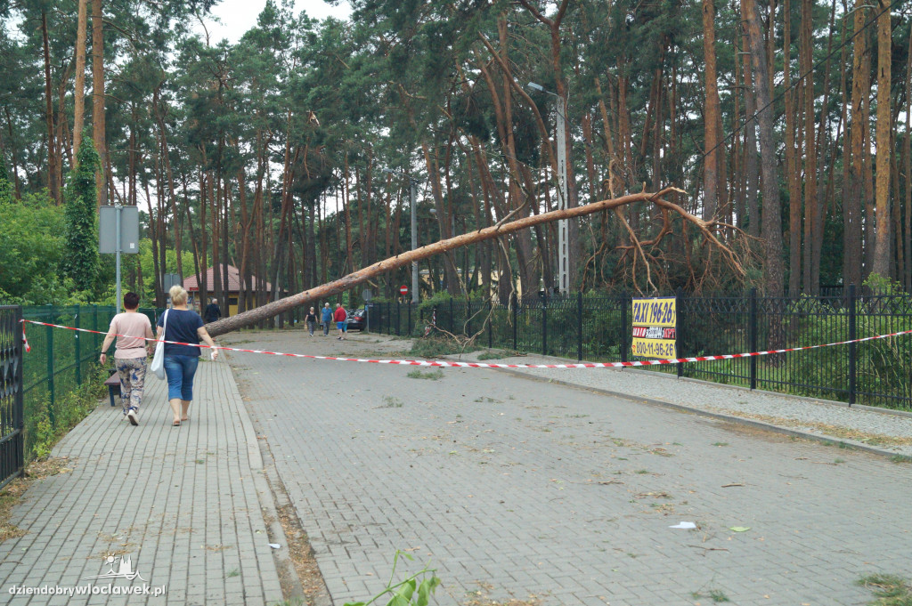 Uzdrowisko sprząta po wielkiej wichurze