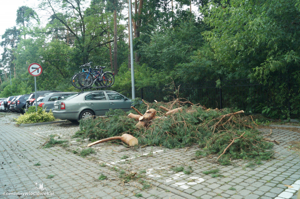 Uzdrowisko sprząta po wielkiej wichurze