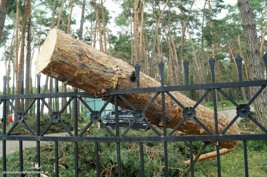 Uzdrowisko sprząta po wielkiej wichurze