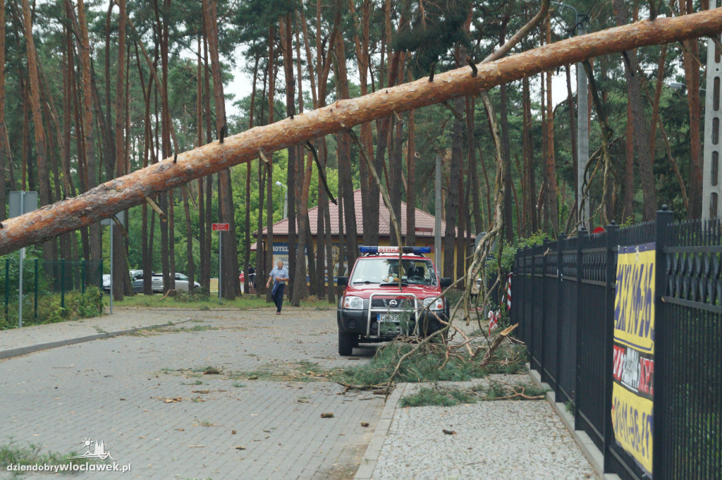 Uzdrowisko sprząta po wielkiej wichurze