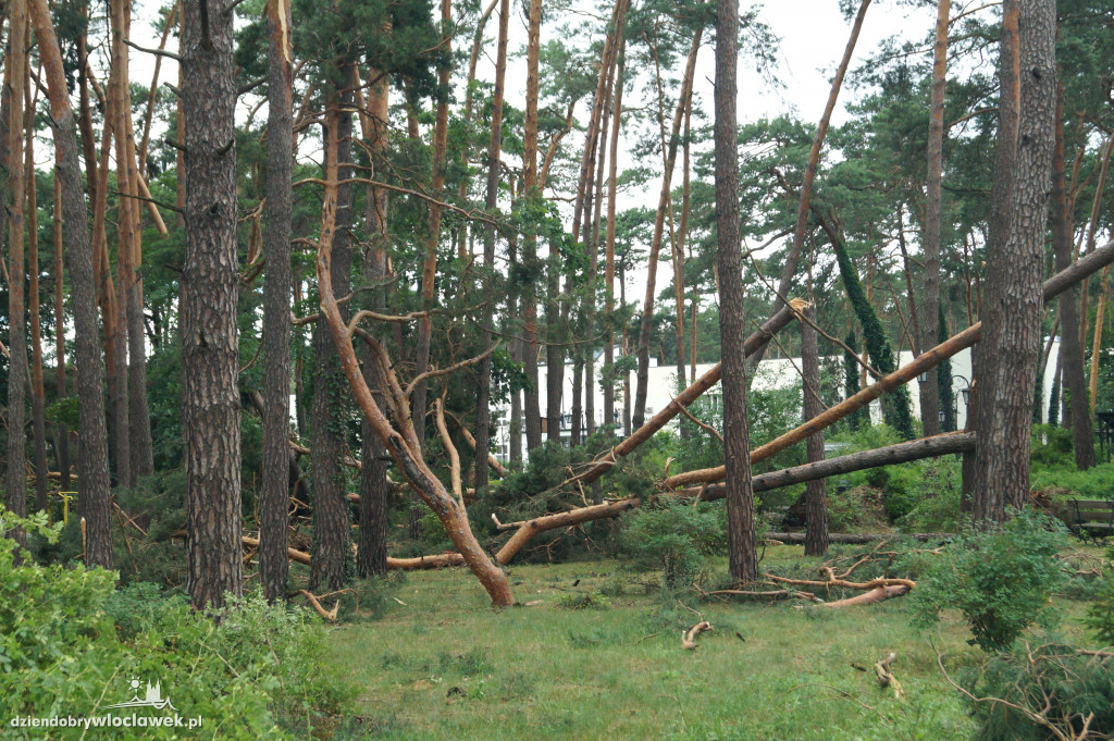 Uzdrowisko sprząta po wielkiej wichurze