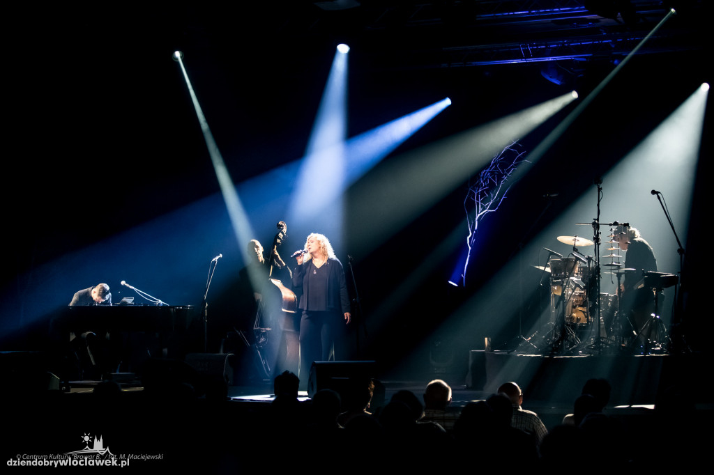Hanna Banaszak w Browarze B.