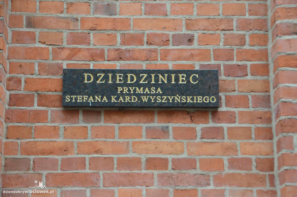 Spacerek z przewodnikiem: Seminarium