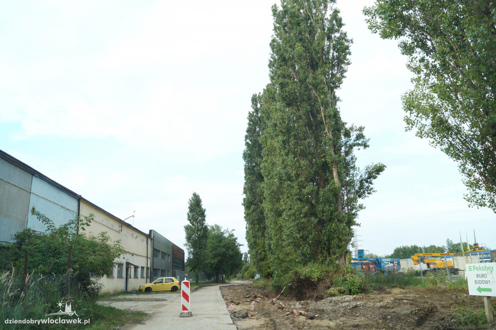 Wycinka drzew przy ul. Celulozowej
