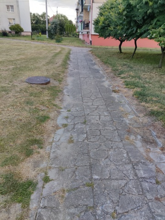 Mieszkańcy apelują o rewitalizację osiedla