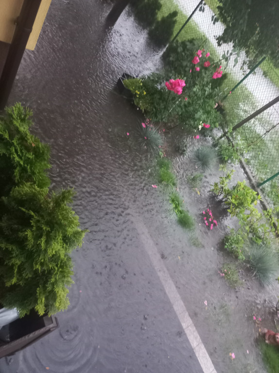 Mieszkanka ul. Jagodowej ma dość