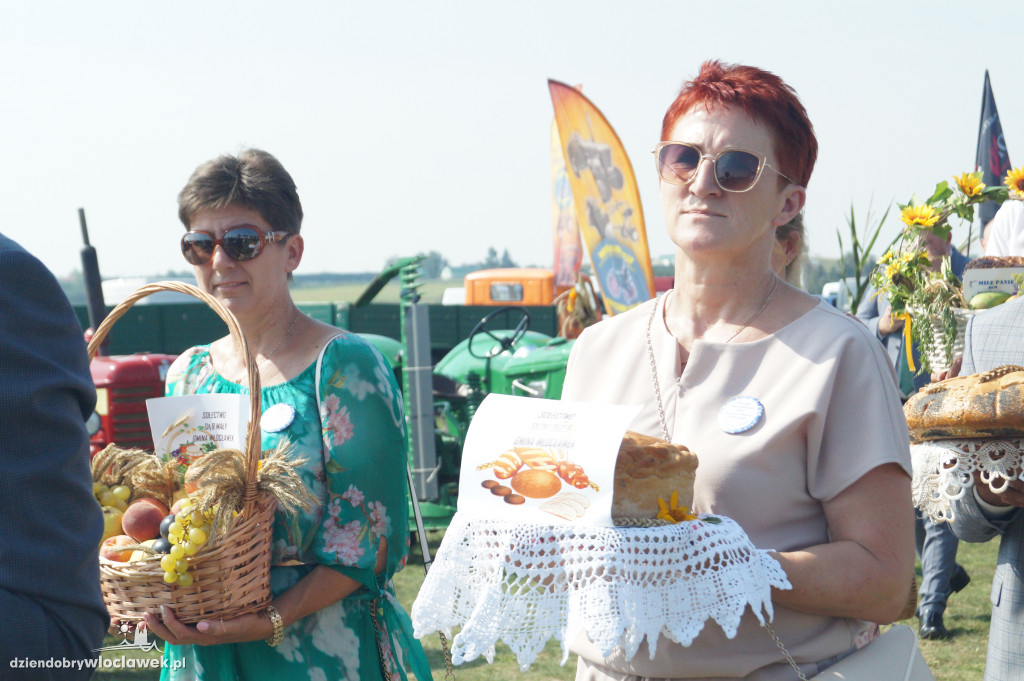 Korowód dożynkowy w Kruszynie