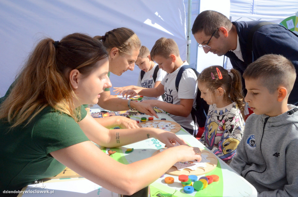 Miasteczko Zdrowia ANWIL