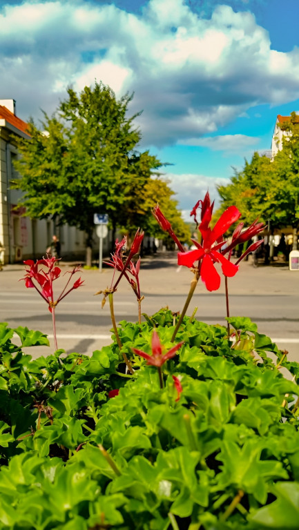 Klimatyczne fotki od PodOkiemWłocławiaka