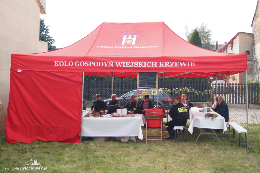 VII Włocławski targ z darami lata