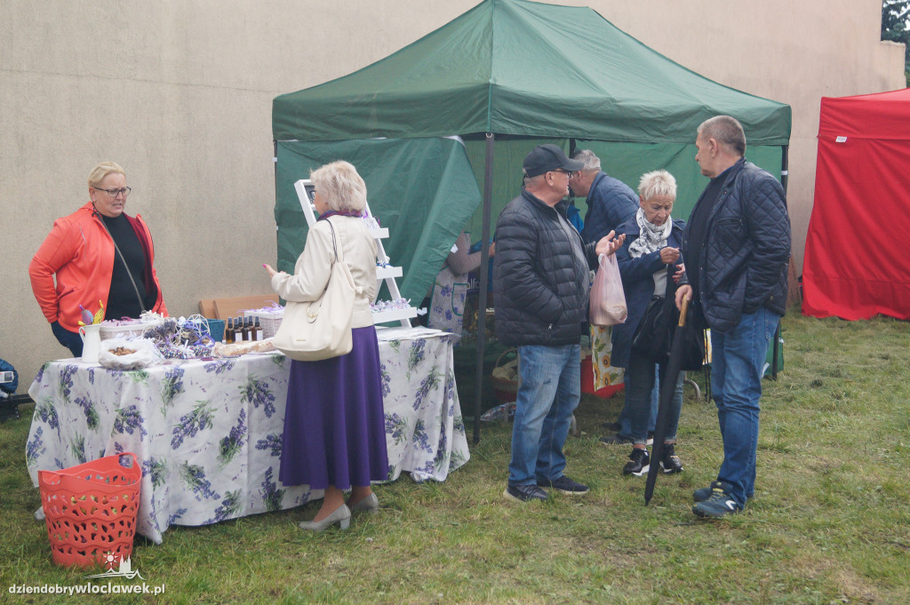 VII Włocławski targ z darami lata