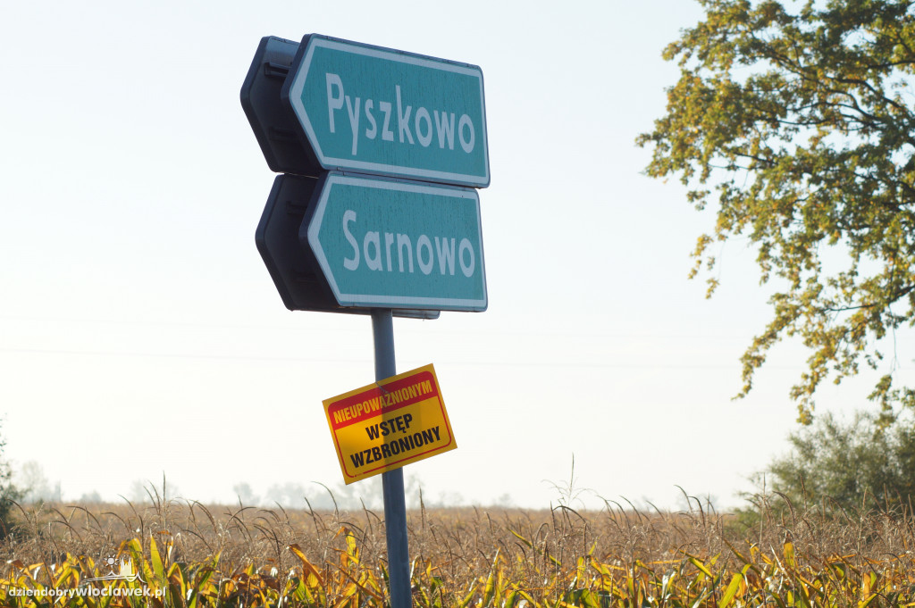 Wyciek z ropociągu w gm. Chodecz