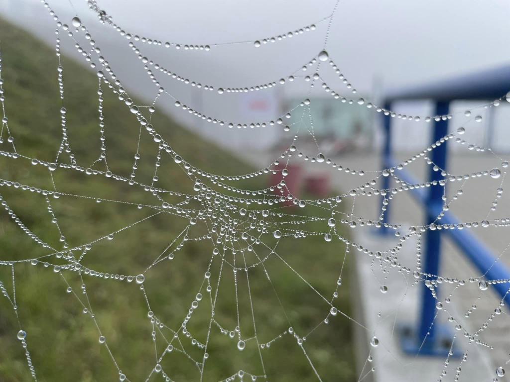 Październikowe Fotki z Włocławka