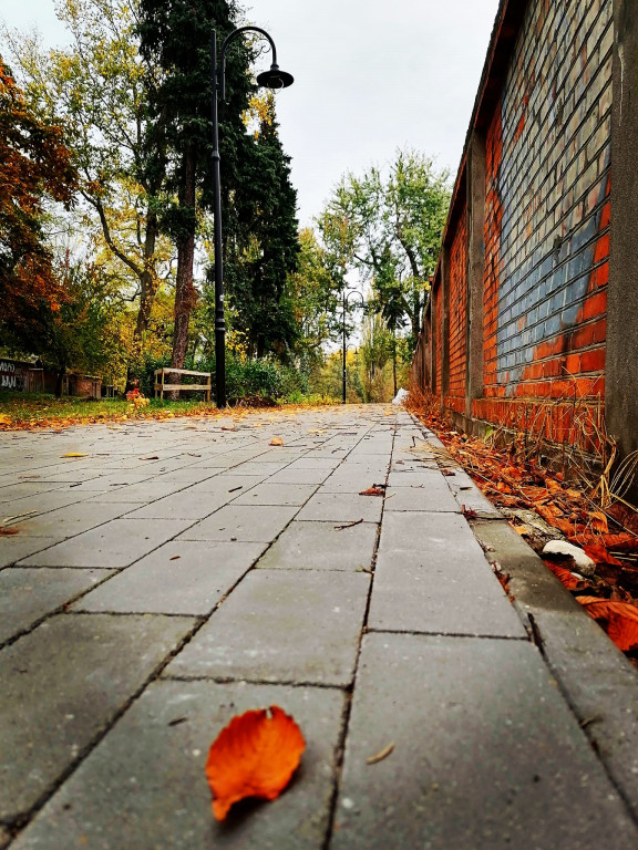 Październikowe Fotki z Włocławka