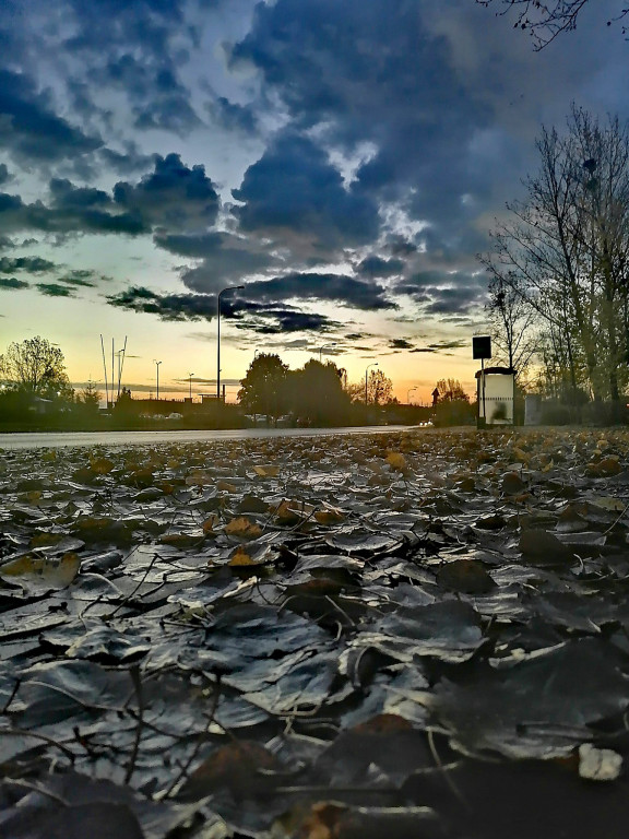 Październikowe Fotki z Włocławka
