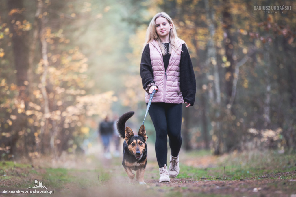 17. edycja Biegu na 6 łap w schronisku dla zwierząt