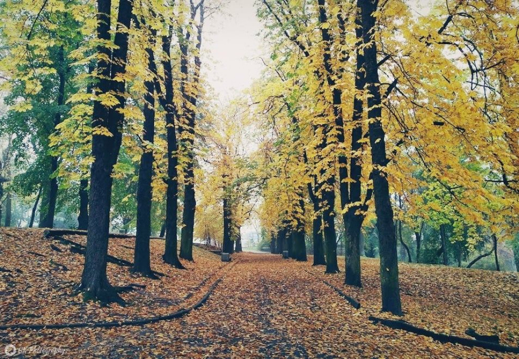 Jesienny spacer po Parku Sienkiewicza