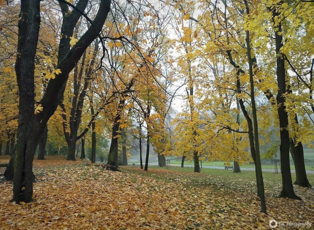 Jesienny spacer po Parku Sienkiewicza