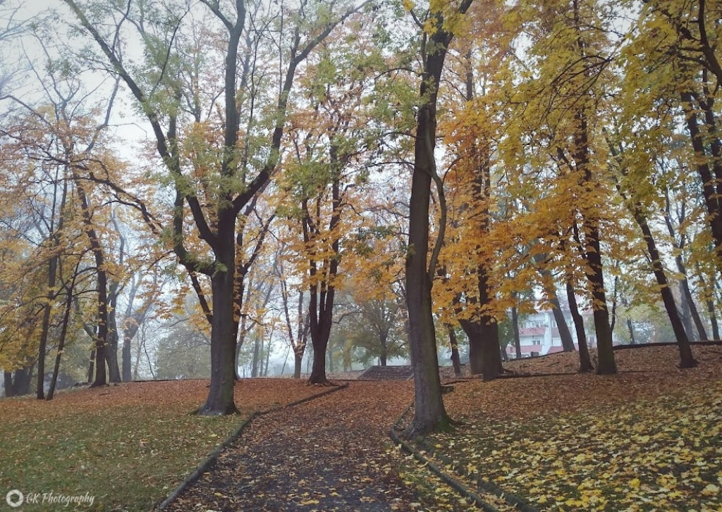 Jesienny spacer po Parku Sienkiewicza