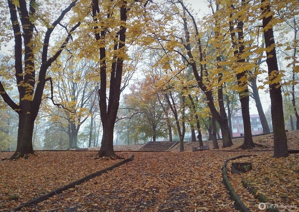 Jesienny spacer po Parku Sienkiewicza