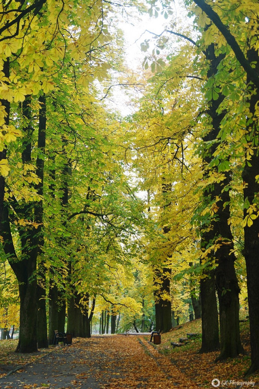 Jesienny spacer po Parku Sienkiewicza