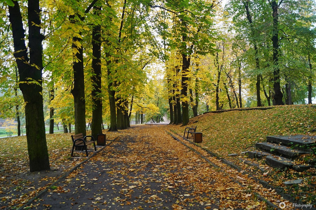 Jesienny spacer po Parku Sienkiewicza