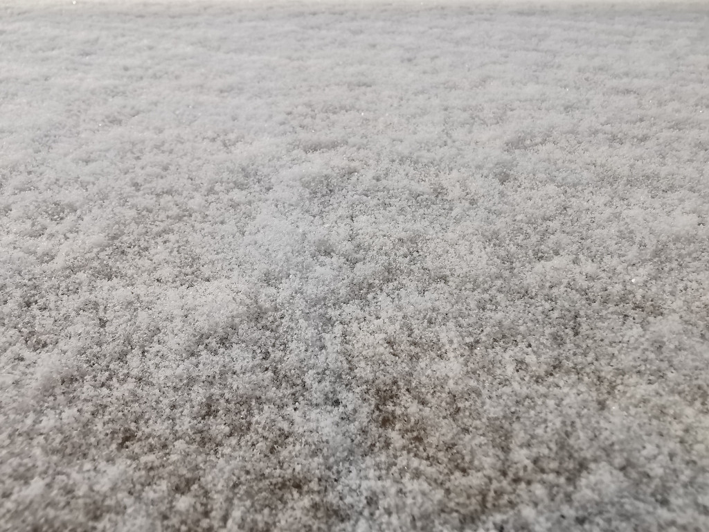 Pierwszy śnieg w obiektywie