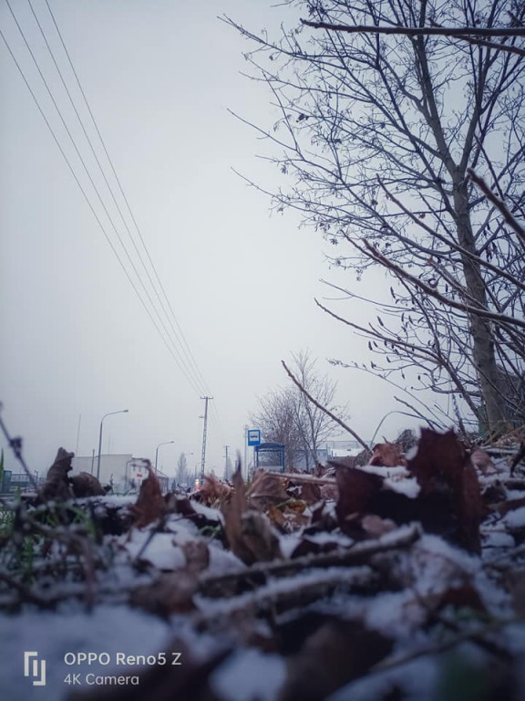 Pierwszy śnieg w obiektywie