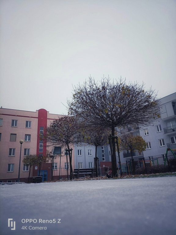 Pierwszy śnieg w obiektywie