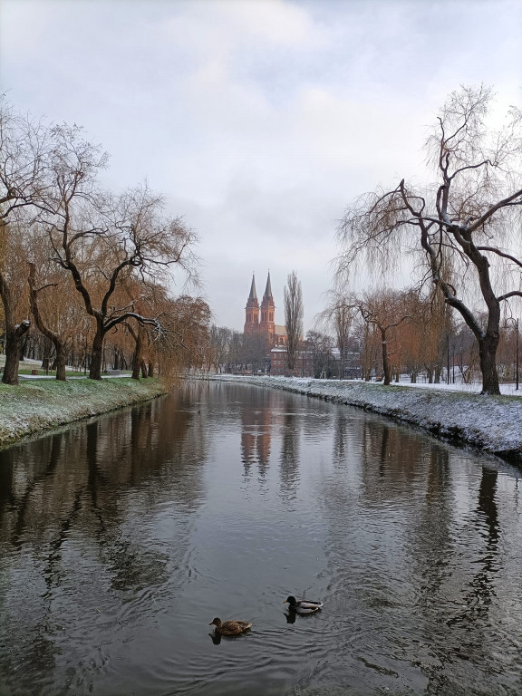 Pierwszy śnieg w obiektywie