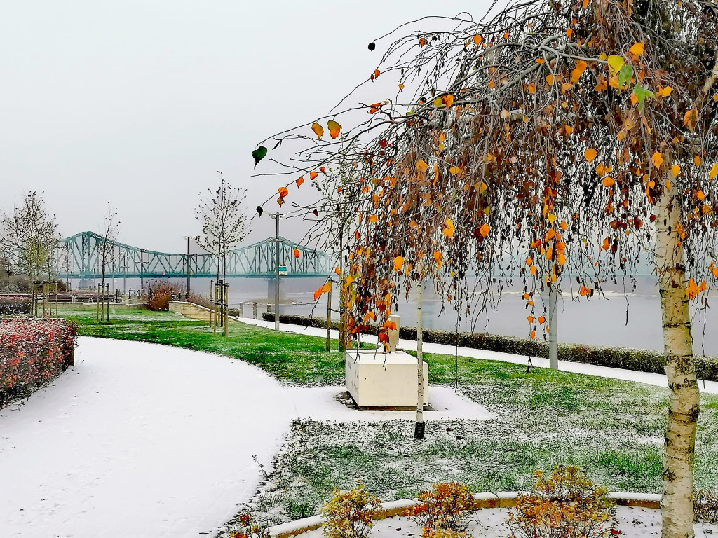 Pierwszy śnieg w obiektywie