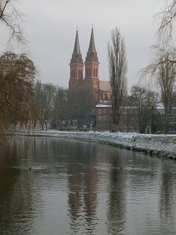 Pierwszy śnieg w obiektywie