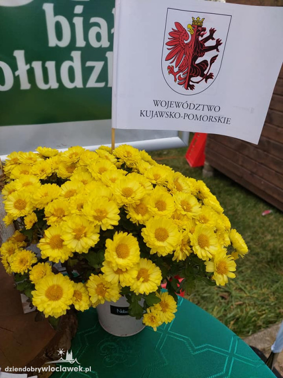 Technicy żywienia z honorowym patronatem