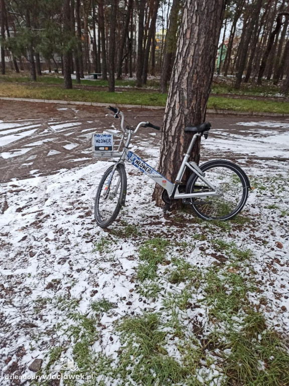 Włowery, o których zapomniano