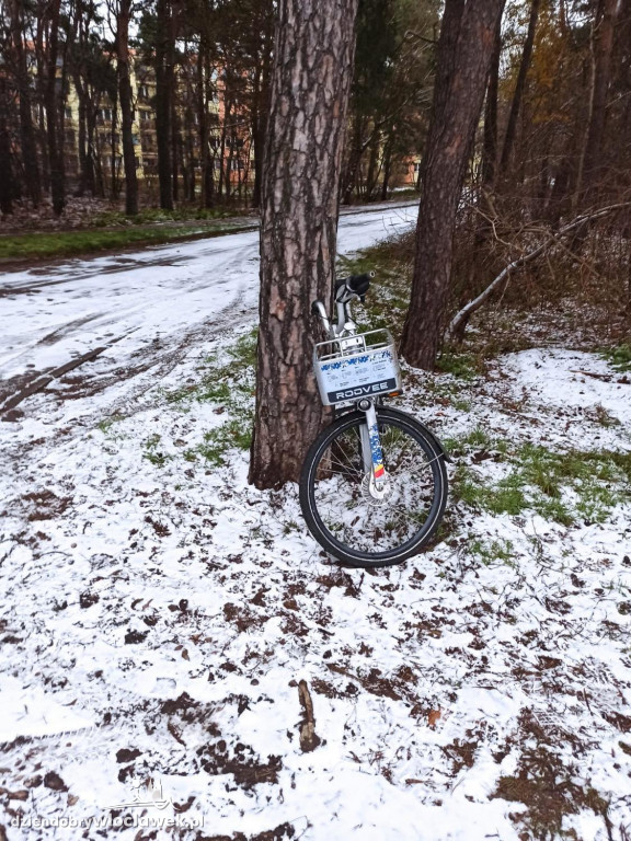 Włowery, o których zapomniano