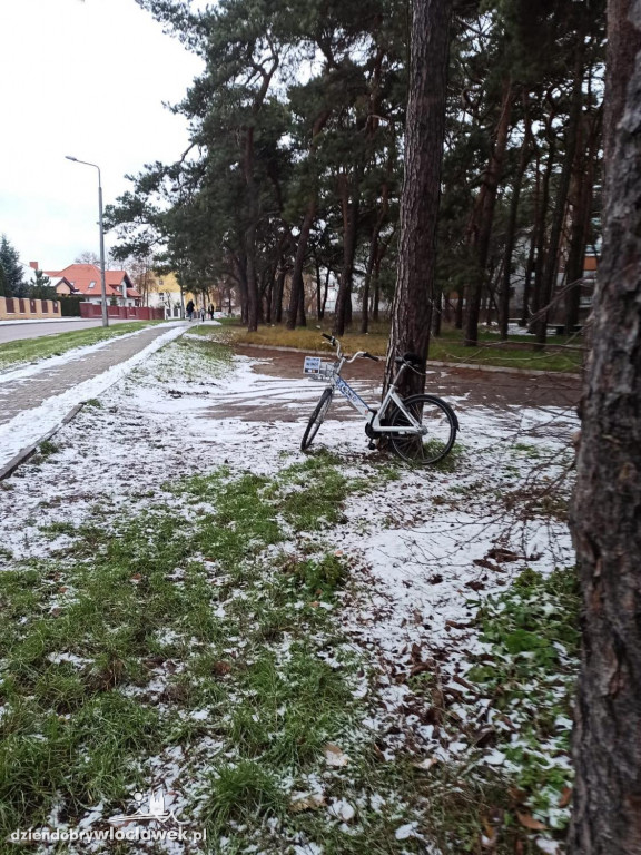 Włowery, o których zapomniano