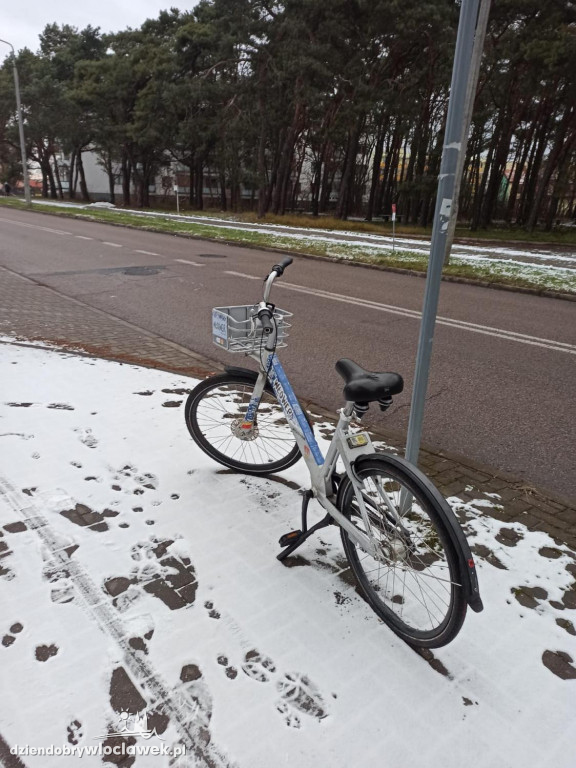 Włowery, o których zapomniano