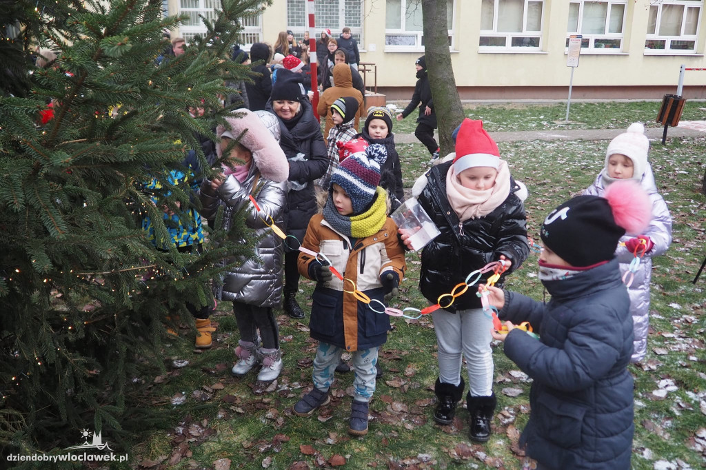 Śródmiejska Choinka w SP nr 3