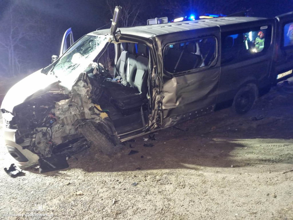 Jedna osoba ranna po wypadku busa pod Brześciem Kuj.